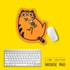 Little Orange Cat 2