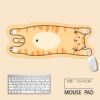Big Cat