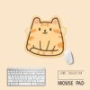 Little Cat