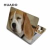 Laptop Skin 2