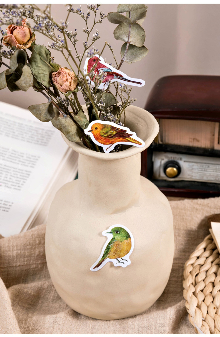 Kawaii Bird Stickers Set 46 Pcs Ideal For Kids Scrapbooking Journals Laptops - 11