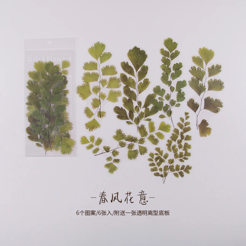 Vintage Plant Decorative Stickers For Scrapbooking Diary Album Stationery - 6