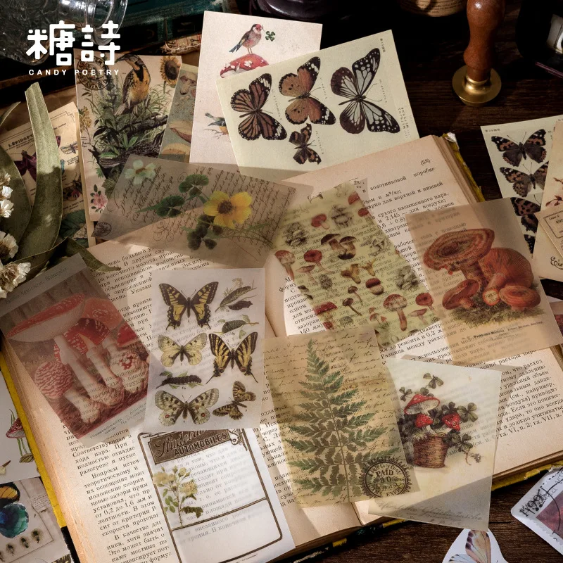 Vintageinspired Memory Room Decorative Wall Stickers Set Of 60 Pieces - 4