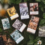 Seasonal Mini Greeting Card Set Kraft Paper Spring Summer Autumn Winter - 1